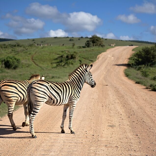 South Africa